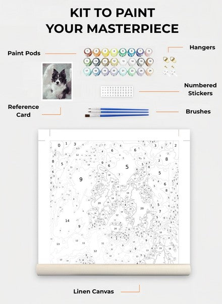 Custom Paint By Numbers Kit