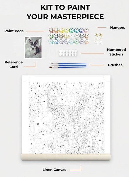 Custom Paint By Numbers Kit