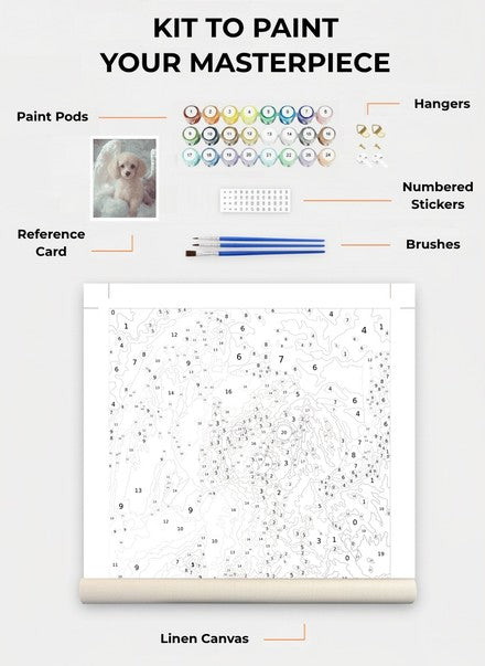 Custom Paint By Numbers Kit