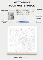 Custom Paint By Numbers Kit