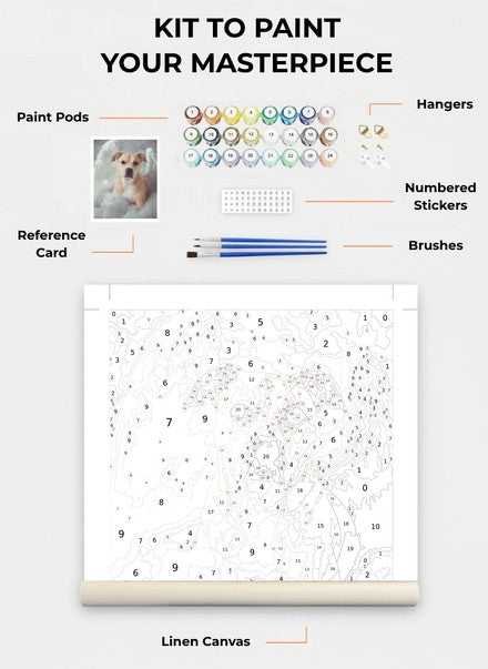 Custom Paint By Numbers Kit