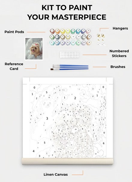 Custom Paint By Numbers Kit