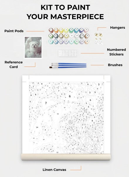 Custom Paint By Numbers Kit