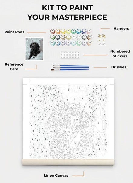 Custom Paint By Numbers Kit