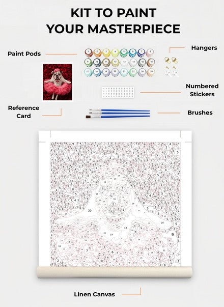 Custom Paint By Numbers Kit
