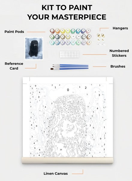 Custom Paint By Numbers Kit