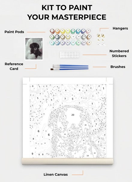 Custom Paint By Numbers Kit