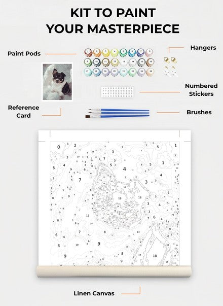 Custom Paint By Numbers Kit