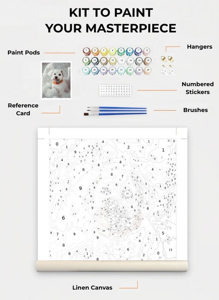 Custom Paint By Numbers Kit