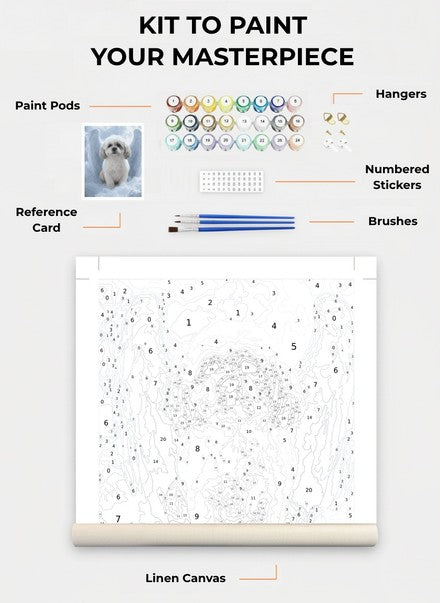 Custom Paint By Numbers Kit