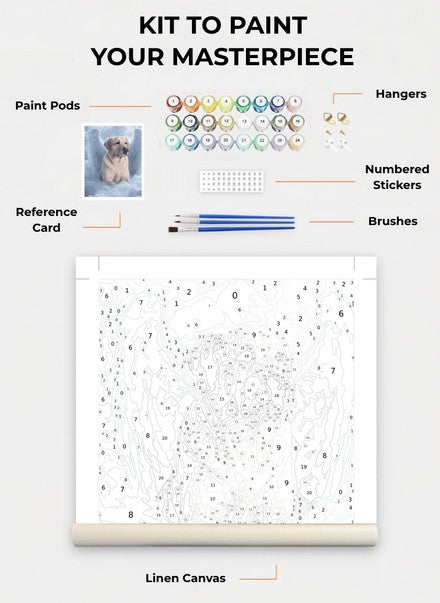 Custom Paint By Numbers Kit