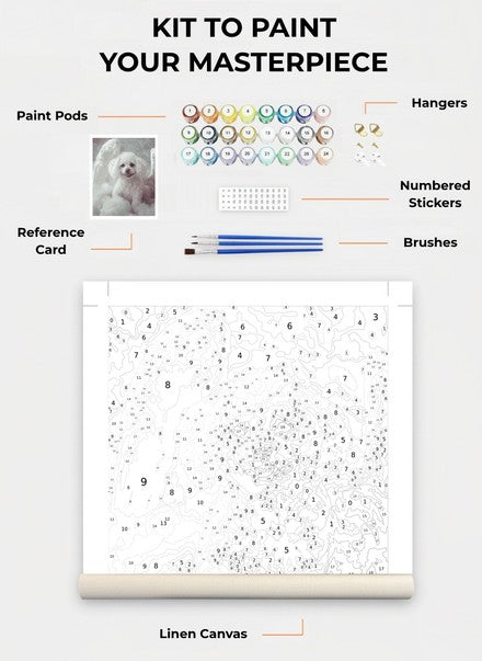 Custom Paint By Numbers Kit