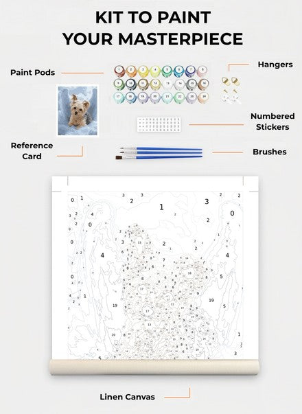 Custom Paint By Numbers Kit