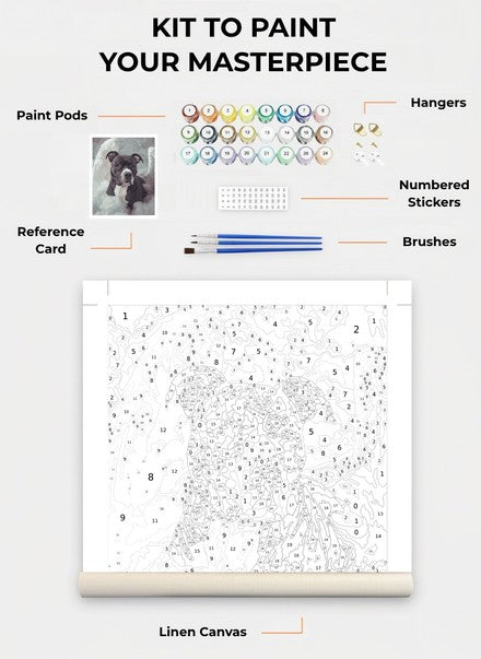 Custom Paint By Numbers Kit