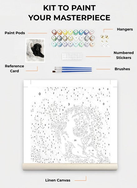Custom Paint By Numbers Kit