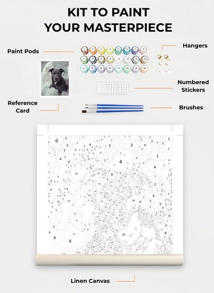 Custom Paint By Numbers Kit