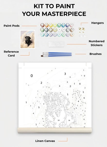 Custom Paint By Numbers Kit