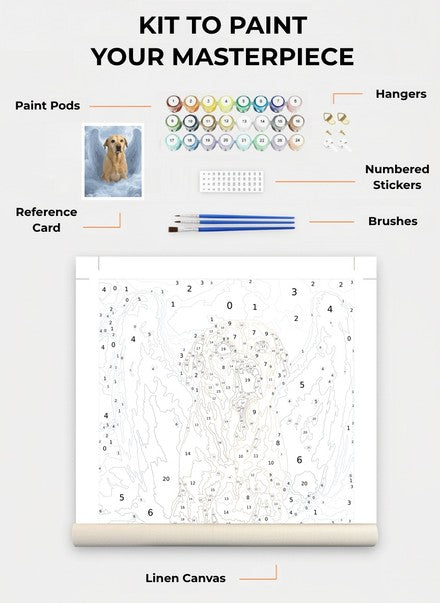 Custom Paint By Numbers Kit