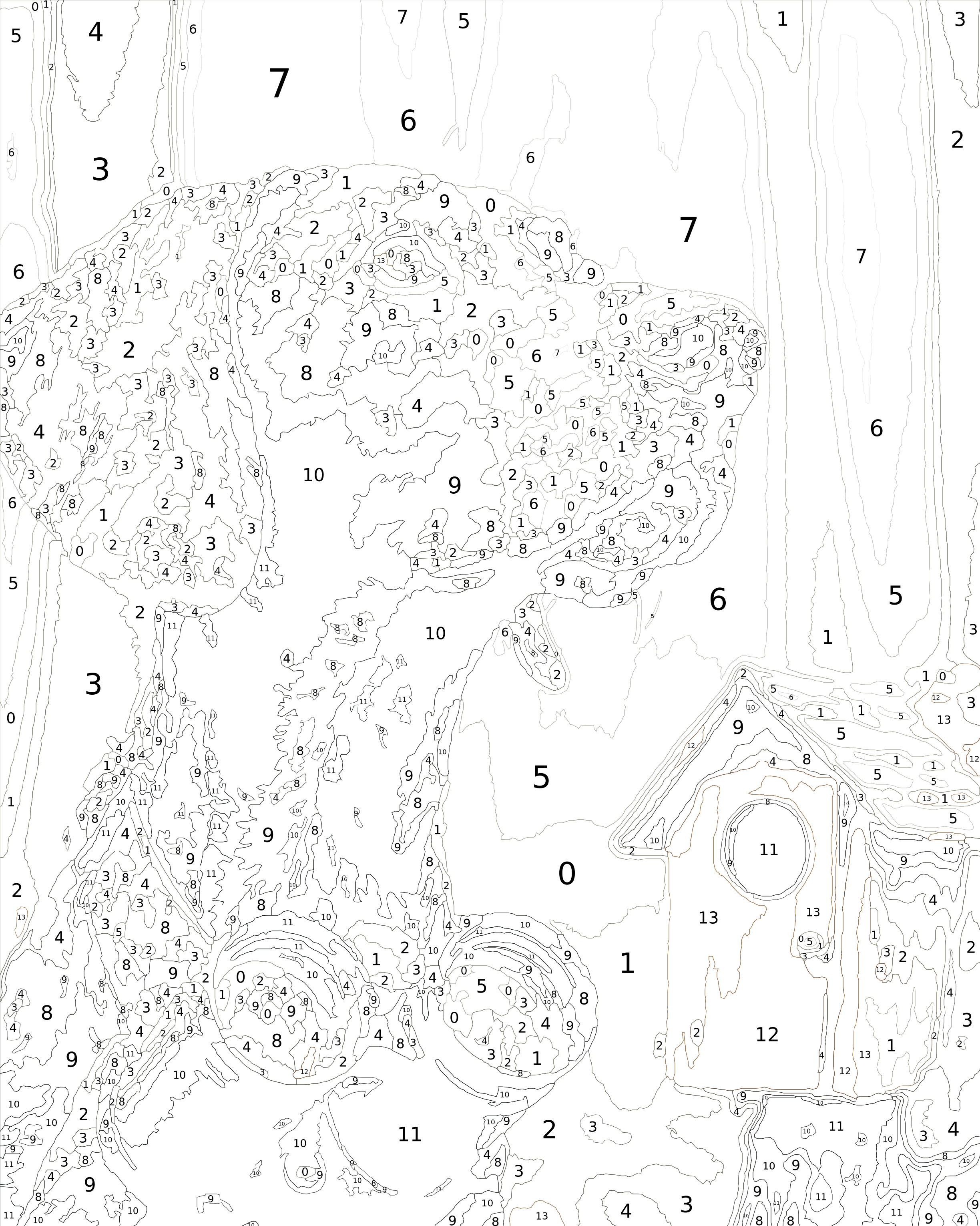 Binocular Birdwatcher
