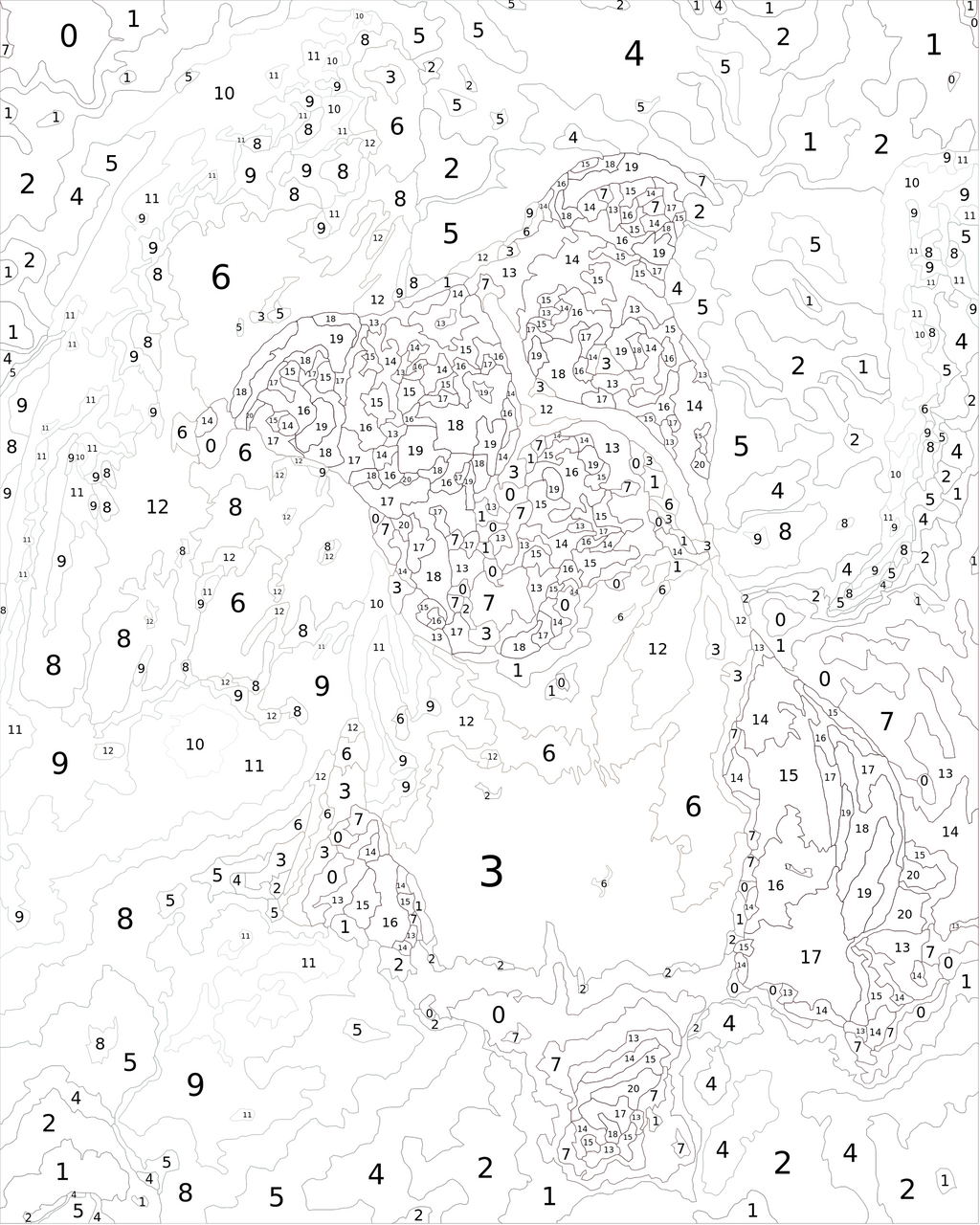 Custom Paint By Numbers Kit