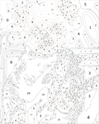 Custom Paint By Numbers Kit