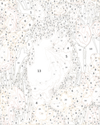 Custom Paint By Numbers Kit