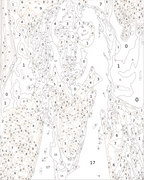 Custom Paint By Numbers Kit