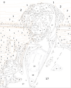 Custom Paint By Numbers Kit