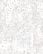 Custom Paint By Numbers Kit