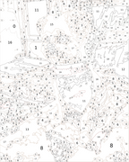Custom Paint By Numbers Kit