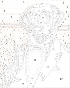 Custom Paint By Numbers Kit