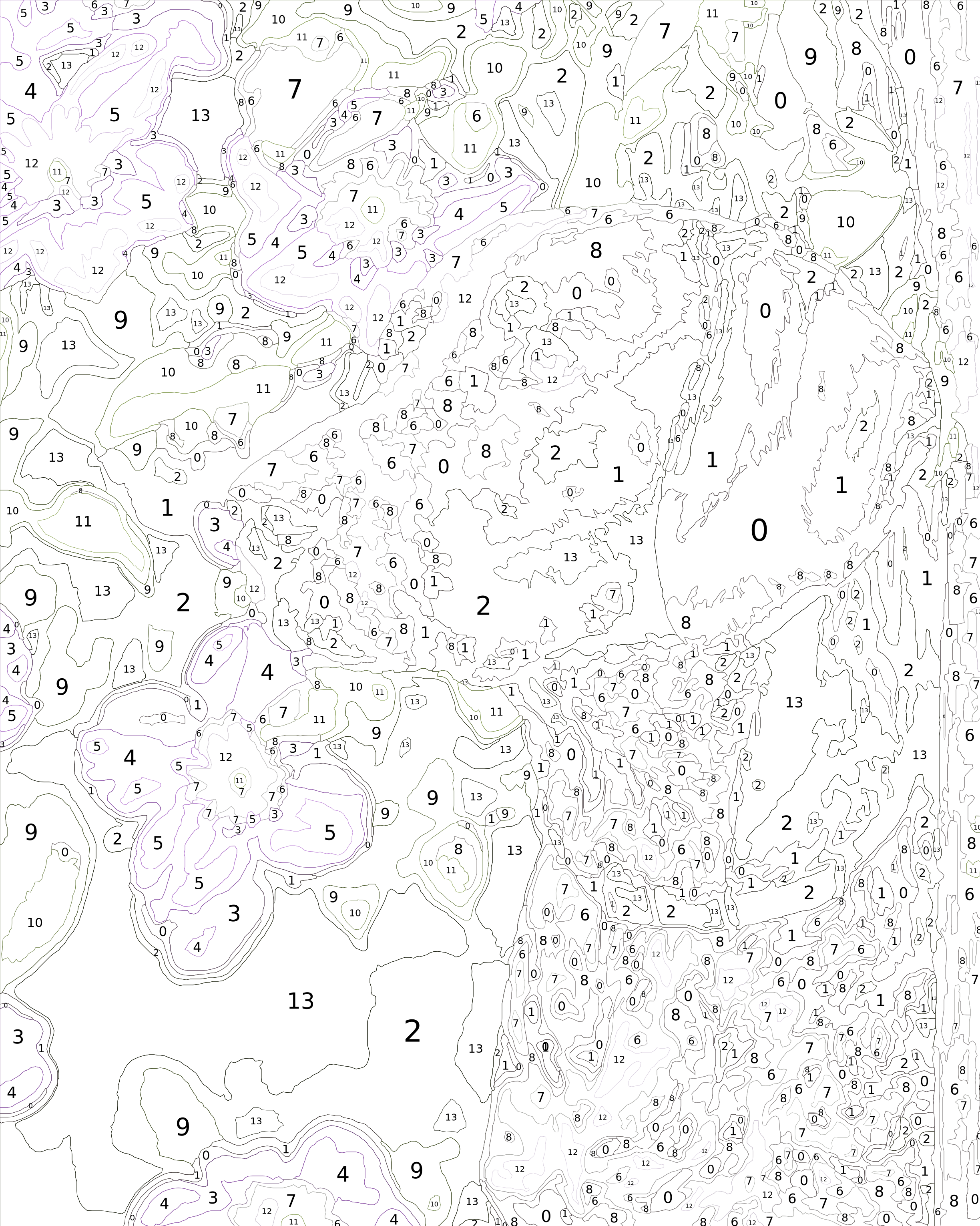 Clematis Garden Gaze