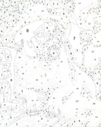 Custom Paint By Numbers Kit