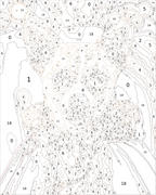 Custom Paint By Numbers Kit