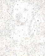 Custom Paint By Numbers Kit