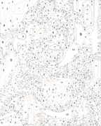 Custom Paint By Numbers Kit