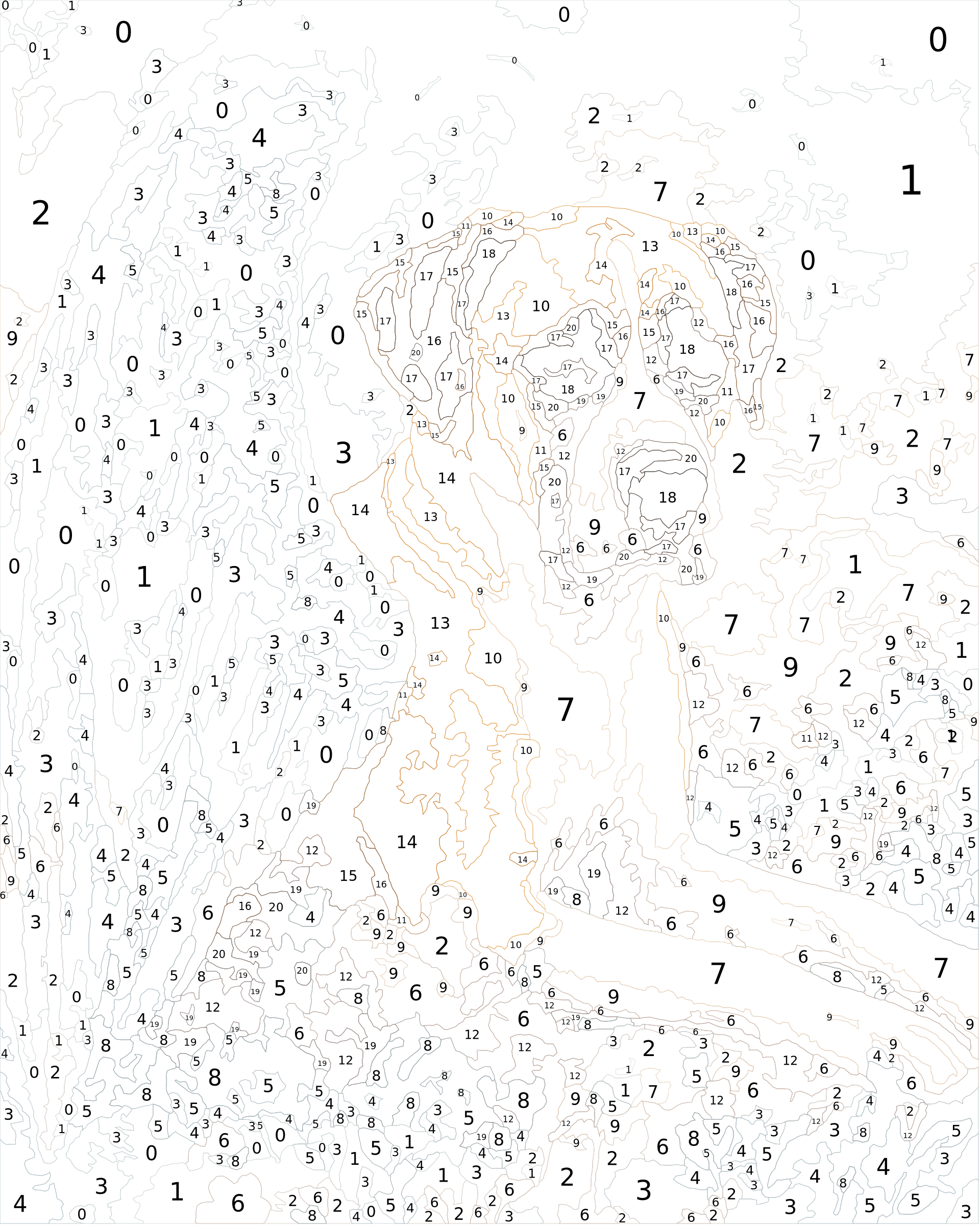Custom Paint By Numbers Kit