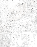 Custom Paint By Numbers Kit