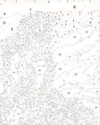 Custom Paint By Numbers Kit