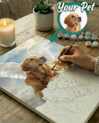 Half-Painted Preview
