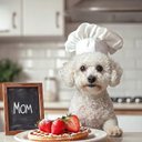 Your Custom Pet Art Kit