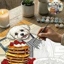 Your Custom Pet Art Kit