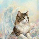 Your Custom Pet Art Kit