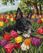 Your Custom Pet Art Kit