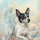 Your Custom Pet Art Kit