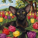 Your Custom Pet Art Kit