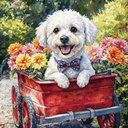 Your Custom Pet Art Kit