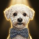 Your Custom Pet Art Kit