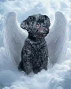 Your Custom Pet Art Kit
