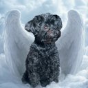 Your Custom Pet Art Kit